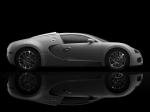 Bugatti Veyron 16.4 Grand Sport Roadster 2008 года